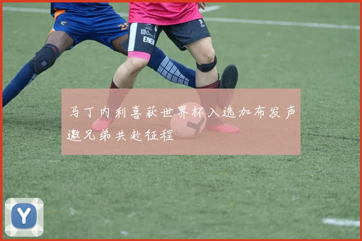 马丁内利喜获世界杯入选加布发声邀兄弟共赴征程