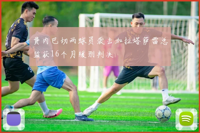 费内巴切两球员袭击加拉塔萨雷总监获16个月缓刑判决